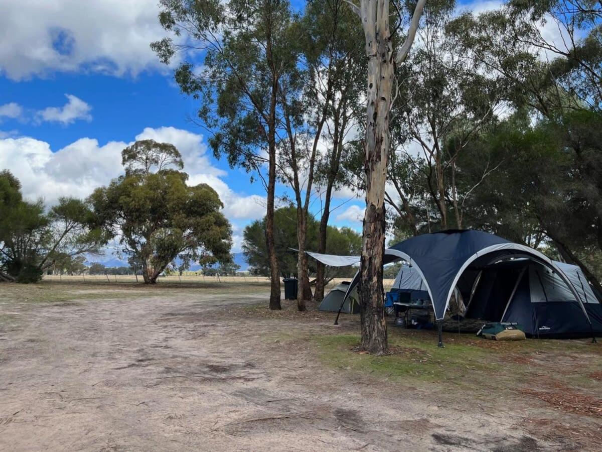 Tiny House 6 At Grampians Edge Villa Dadswells Bridge Exterior foto