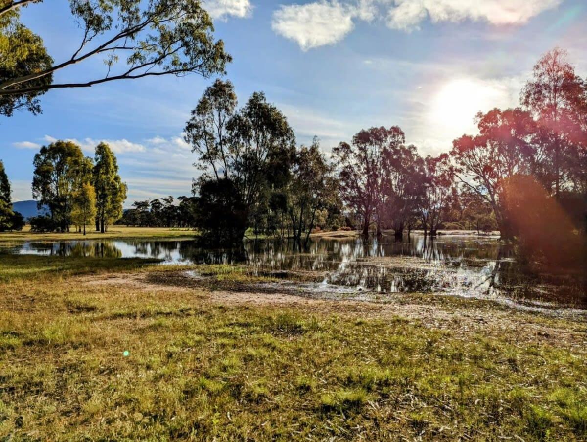 Tiny House 6 At Grampians Edge Villa Dadswells Bridge Exterior foto